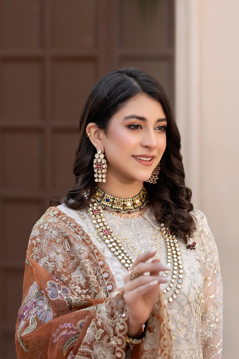 Noor's Luxury Chiffon D-05