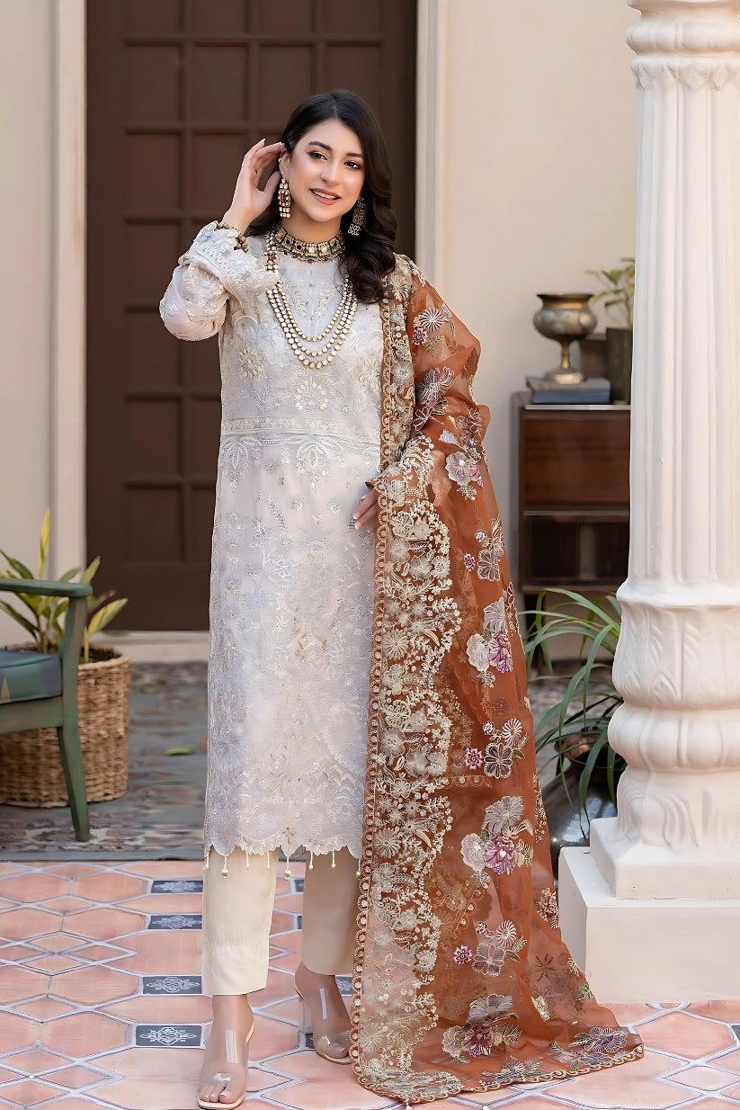 Noor's Luxury Chiffon D-05